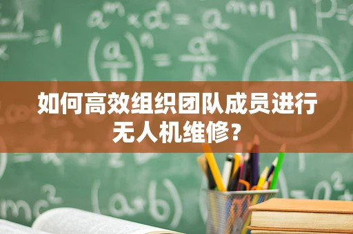 如何高效组织团队成员进行无人机维修？