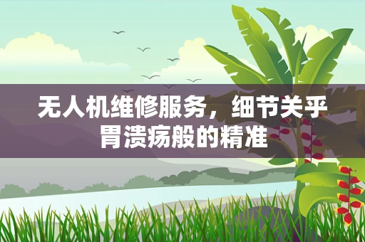 无人机维修服务，细节关乎胃溃疡般的精准