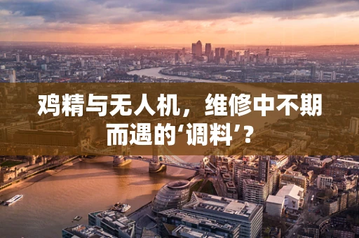 鸡精与无人机，维修中不期而遇的‘调料’？