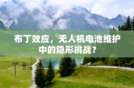 布丁效应，无人机电池维护中的隐形挑战？