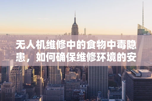 无人机维修中的食物中毒隐患，如何确保维修环境的安全？