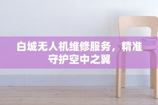 白城无人机维修服务，精准守护空中之翼