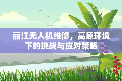 丽江无人机维修，高原环境下的挑战与应对策略