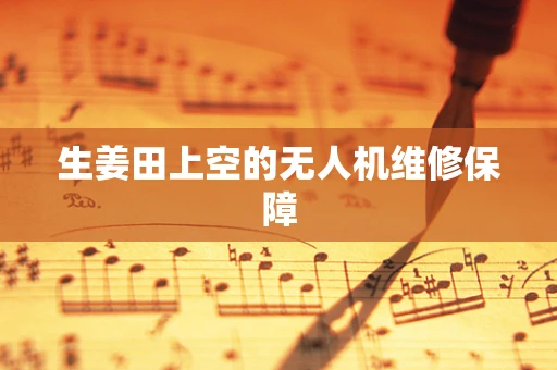 生姜田上空的无人机维修保障