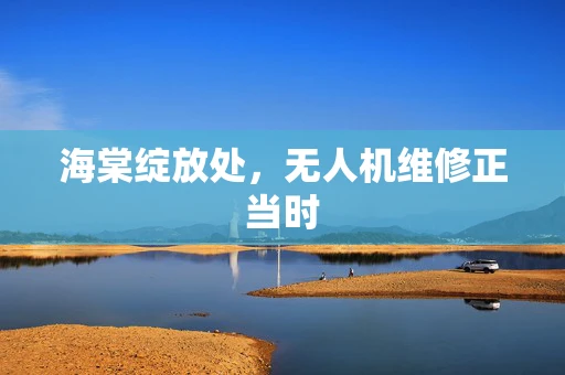 海棠绽放处，无人机维修正当时