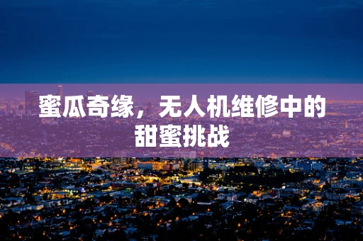 蜜瓜奇缘，无人机维修中的甜蜜挑战