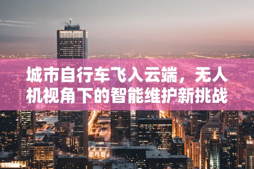 城市自行车飞入云端，无人机视角下的智能维护新挑战