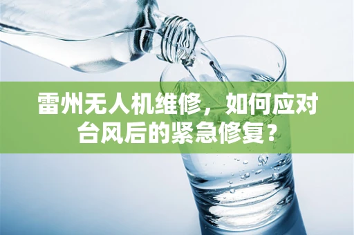 雷州无人机维修，如何应对台风后的紧急修复？