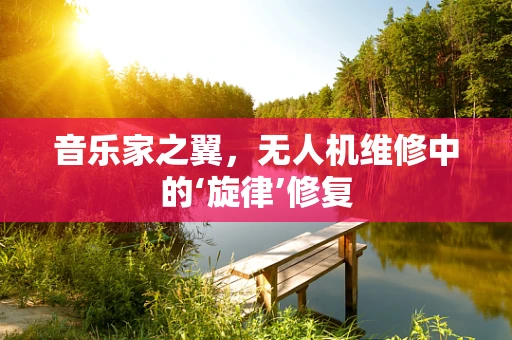 音乐家之翼，无人机维修中的‘旋律’修复