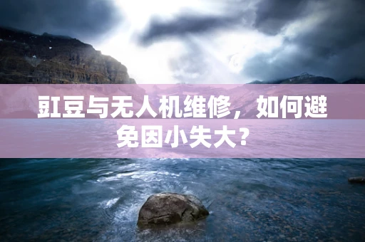 豇豆与无人机维修，如何避免因小失大？