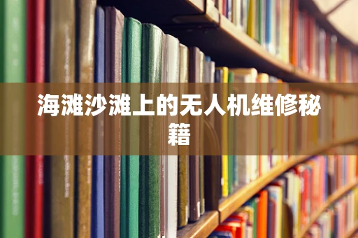 海滩沙滩上的无人机维修秘籍