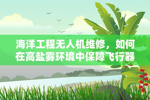 海洋工程无人机维修，如何在高盐雾环境中保障飞行器性能？