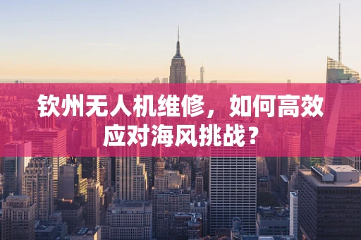 钦州无人机维修，如何高效应对海风挑战？