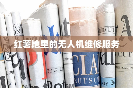 红薯地里的无人机维修服务