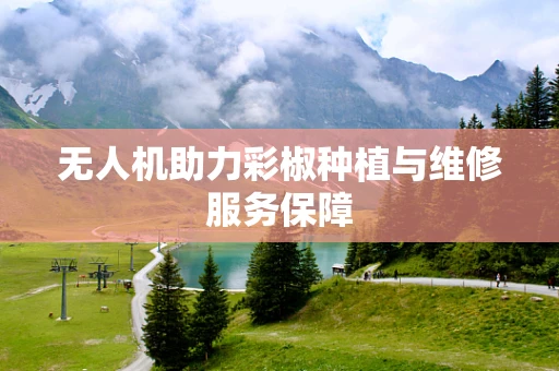 无人机助力彩椒种植与维修服务保障