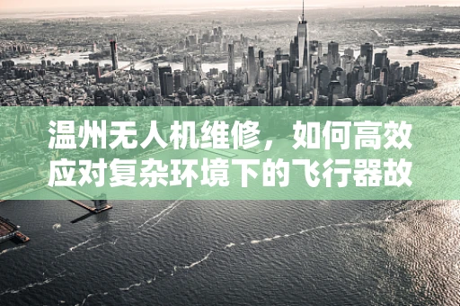 温州无人机维修，如何高效应对复杂环境下的飞行器故障？