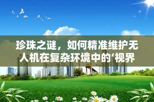 珍珠之谜，如何精准维护无人机在复杂环境中的‘视界’？