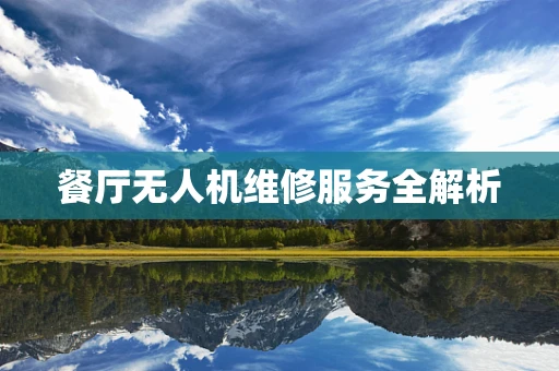 餐厅无人机维修服务全解析