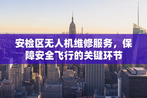 安检区无人机维修服务，保障安全飞行的关键环节