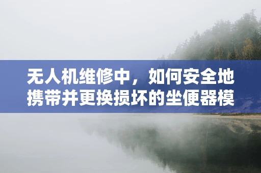 无人机维修中，如何安全地携带并更换损坏的坐便器模块？