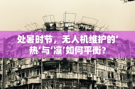 处暑时节，无人机维护的‘热’与‘凉’如何平衡？