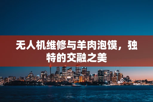 无人机维修与羊肉泡馍，独特的交融之美