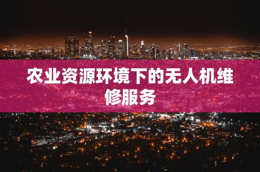 农业资源环境下的无人机维修服务