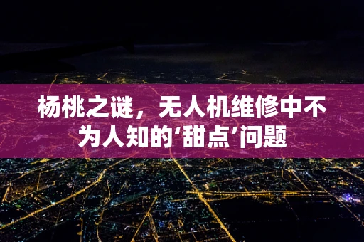杨桃之谜，无人机维修中不为人知的‘甜点’问题