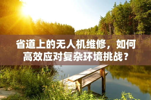 省道上的无人机维修，如何高效应对复杂环境挑战？