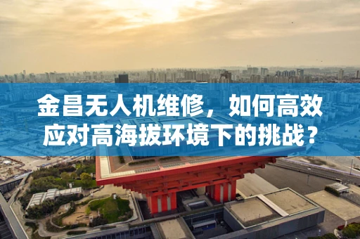 金昌无人机维修，如何高效应对高海拔环境下的挑战？