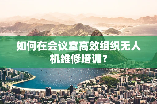如何在会议室高效组织无人机维修培训？