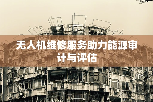 无人机维修服务助力能源审计与评估