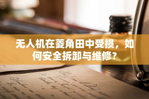 无人机在菱角田中受损，如何安全拆卸与维修？