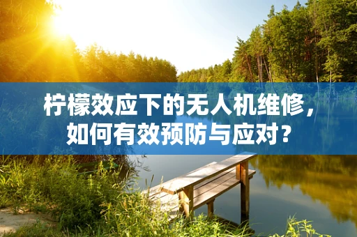 柠檬效应下的无人机维修，如何有效预防与应对？