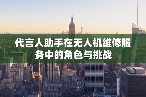 代言人助手在无人机维修服务中的角色与挑战