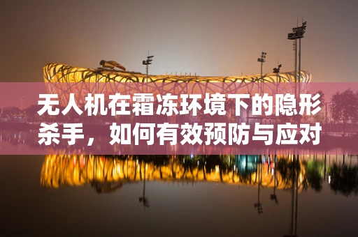 无人机在霜冻环境下的隐形杀手，如何有效预防与应对？