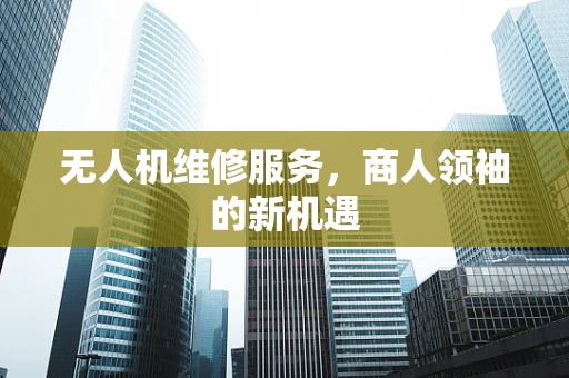 无人机维修服务，商人领袖的新机遇