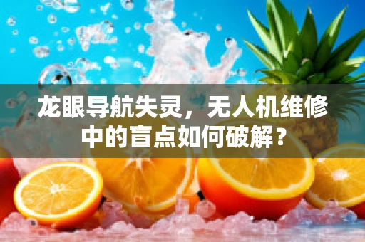 龙眼导航失灵，无人机维修中的盲点如何破解？
