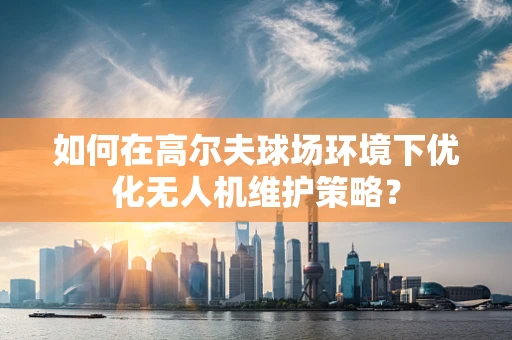如何在高尔夫球场环境下优化无人机维护策略？