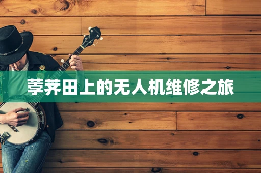 荸荠田上的无人机维修之旅