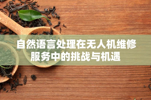 自然语言处理在无人机维修服务中的挑战与机遇