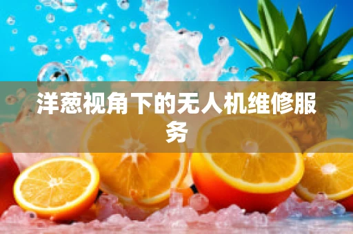 洋葱视角下的无人机维修服务