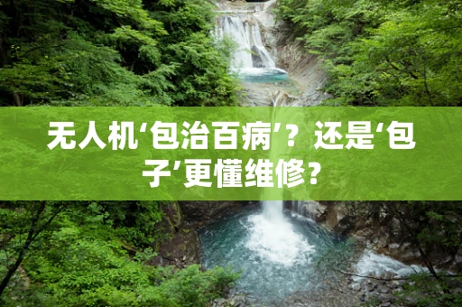 无人机‘包治百病’？还是‘包子’更懂维修？