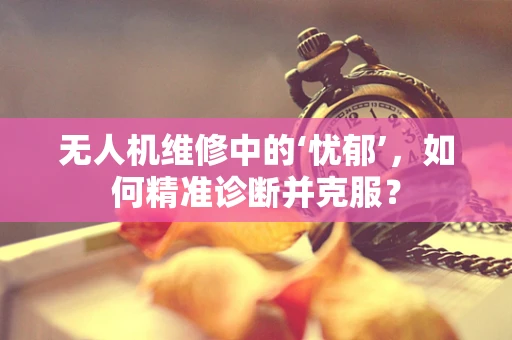 无人机维修中的‘忧郁’，如何精准诊断并克服？