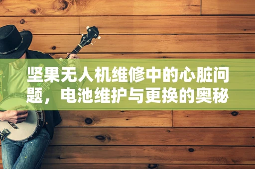 坚果无人机维修中的心脏问题，电池维护与更换的奥秘
