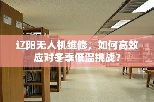 辽阳无人机维修，如何高效应对冬季低温挑战？