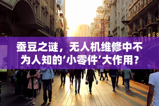蚕豆之谜，无人机维修中不为人知的‘小零件’大作用？