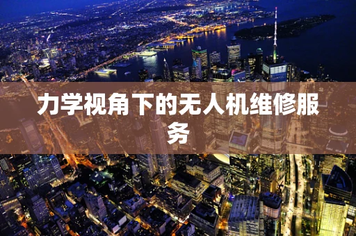 力学视角下的无人机维修服务