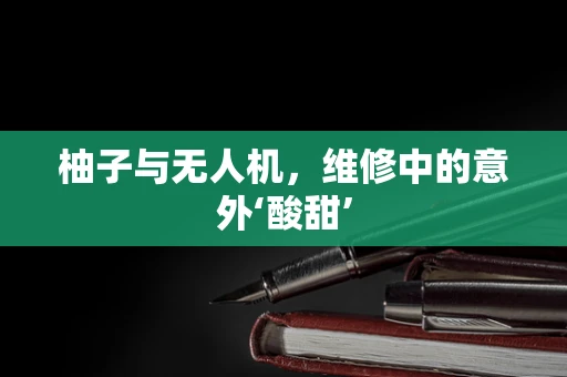 柚子与无人机，维修中的意外‘酸甜’
