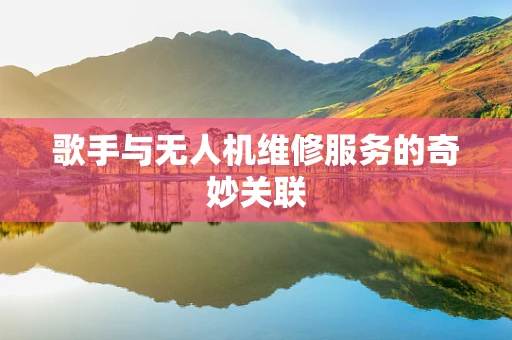 歌手与无人机维修服务的奇妙关联